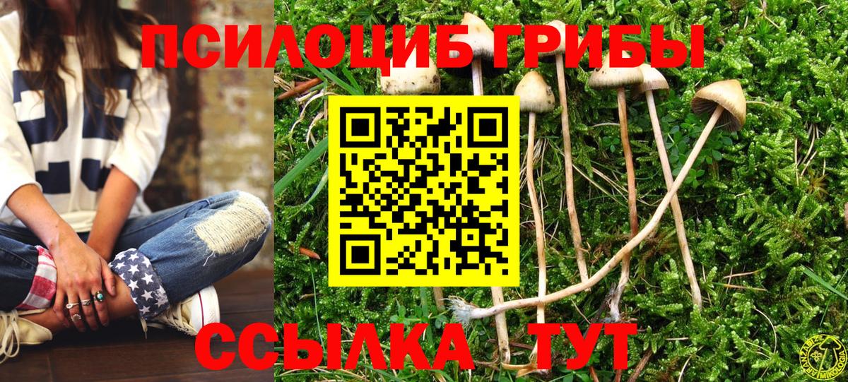 Галлюциногенные грибы мухоморы Можга