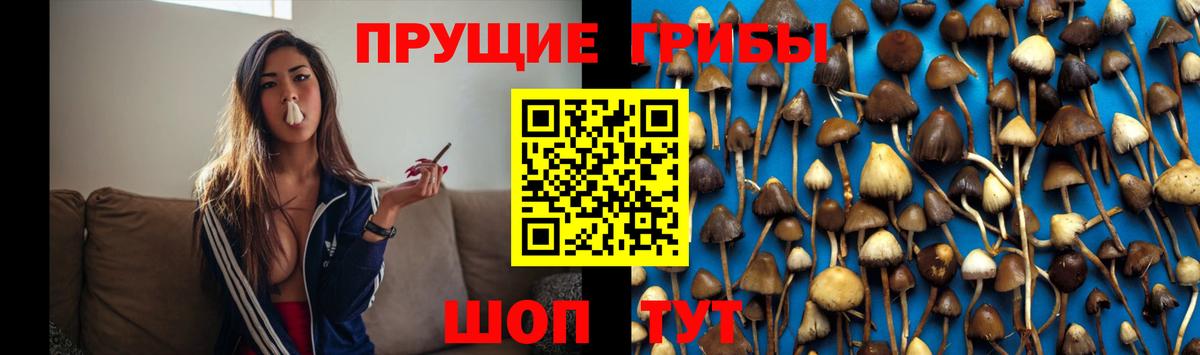 Галлюциногенные грибы GOLDEN TEACHER  Галлюциногенные грибы прущие грибы  Можга  Вход с VPN 